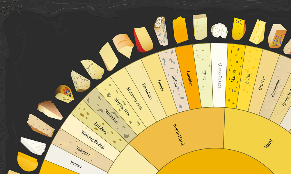 THE CHARTED CHEESE WHEEL